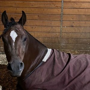 Meet your Posher, Sara